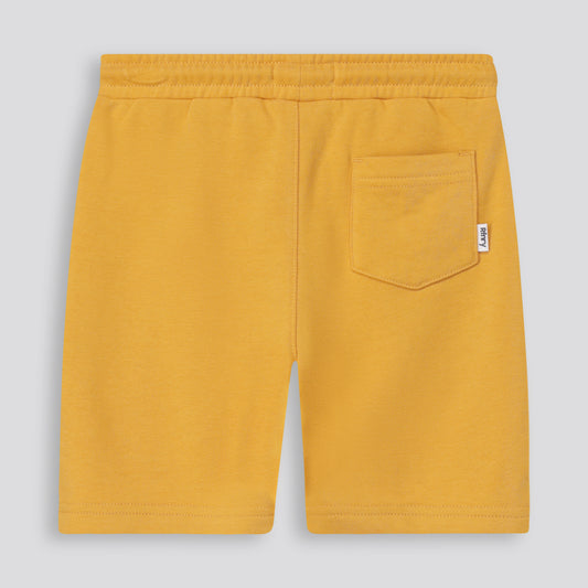 Boys Trackie Shorts