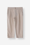 Regular Fit Linen Blend Pant