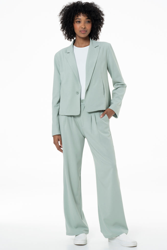Wide Leg Pants _ 141731 _ Sage