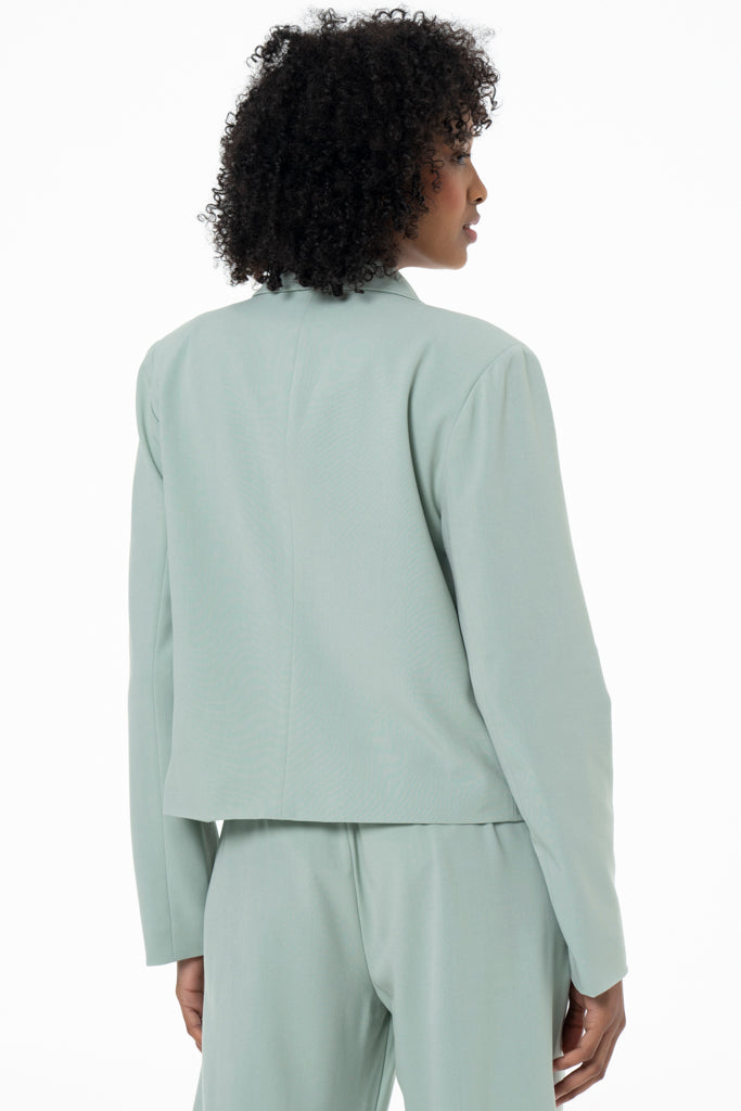 Cropped Blazer _ 141221 _ Sage