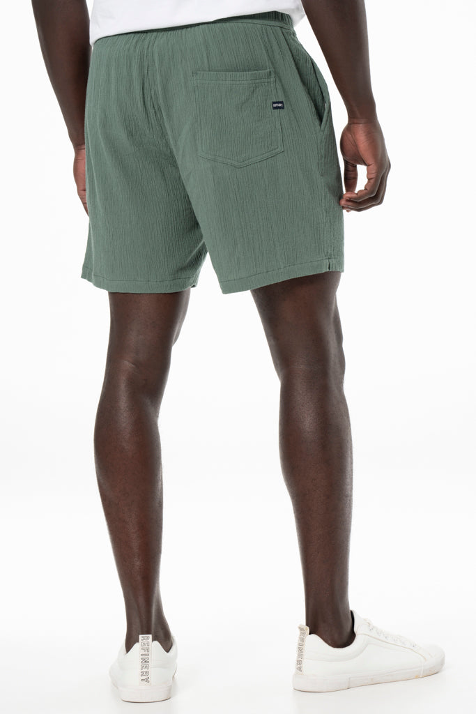 Textured Shorts _ 140172 _ Emerald