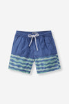Boys Stripe Pool Shorts