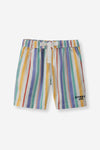 Multi Stripe Pool Shorts