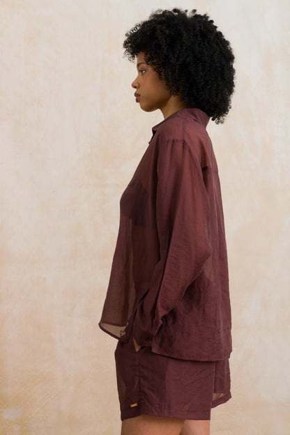 Sheer Long Sleeve Shirt