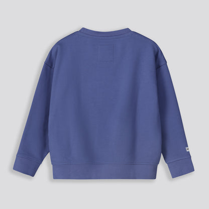 Boys Sweat Top _ 159677 _ Blue