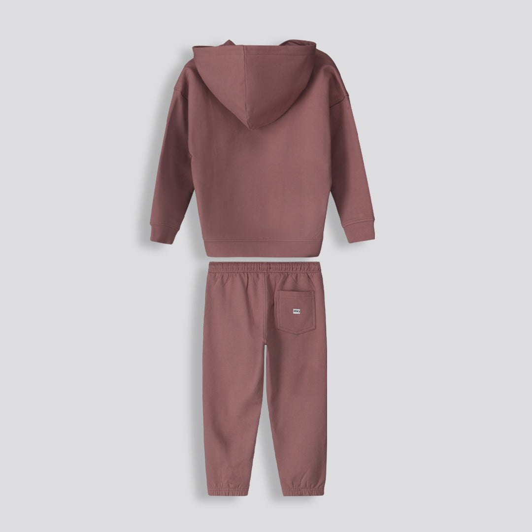 Boys Hoodie _ 159749 _ Mauve