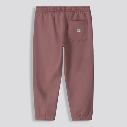 Boys Adventure Track Pants _ 159753 _ Mauve