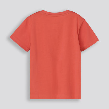 Boys Graphic Tee _ 167039 _ Rust