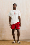 Pool Shorts