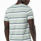 Branded T-Shirt _ 140504 _ Sage