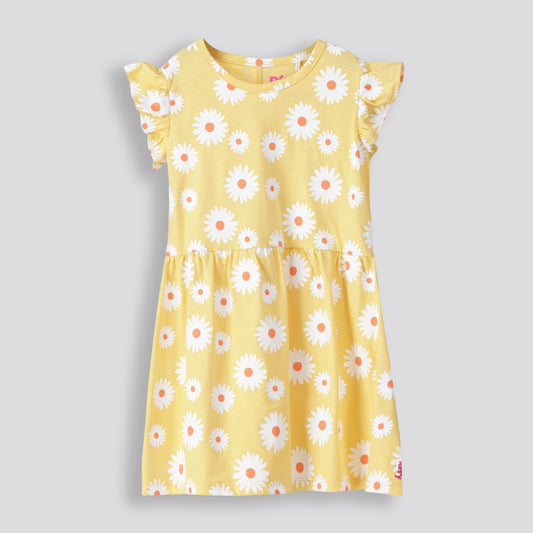 Girls Flutter Sleeve Dress