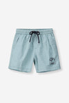 Boys Pool Shorts