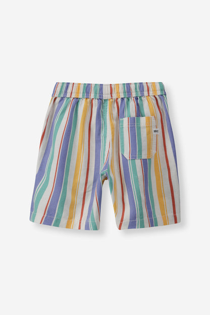Multi Stripe Pool Shorts