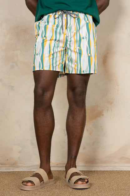 Pool Shorts