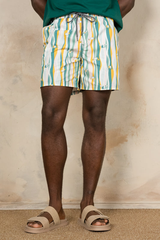 Pool Shorts