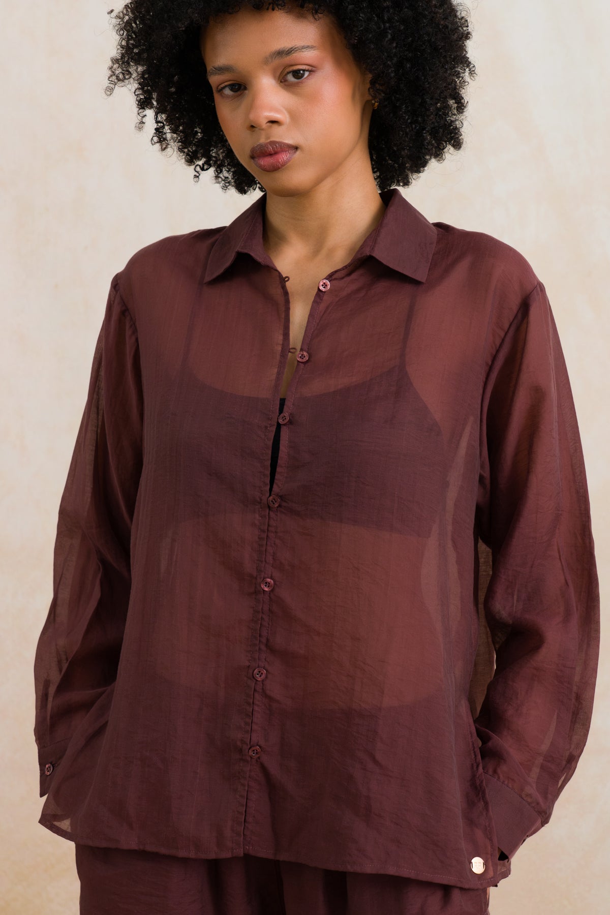 Sheer Long Sleeve Shirt