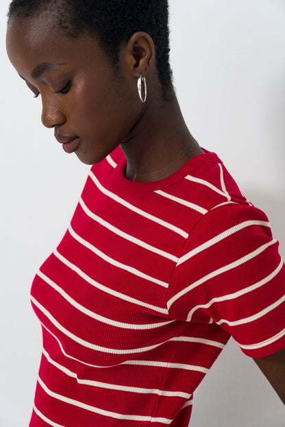 Hi Neck Fitted T-Shirt