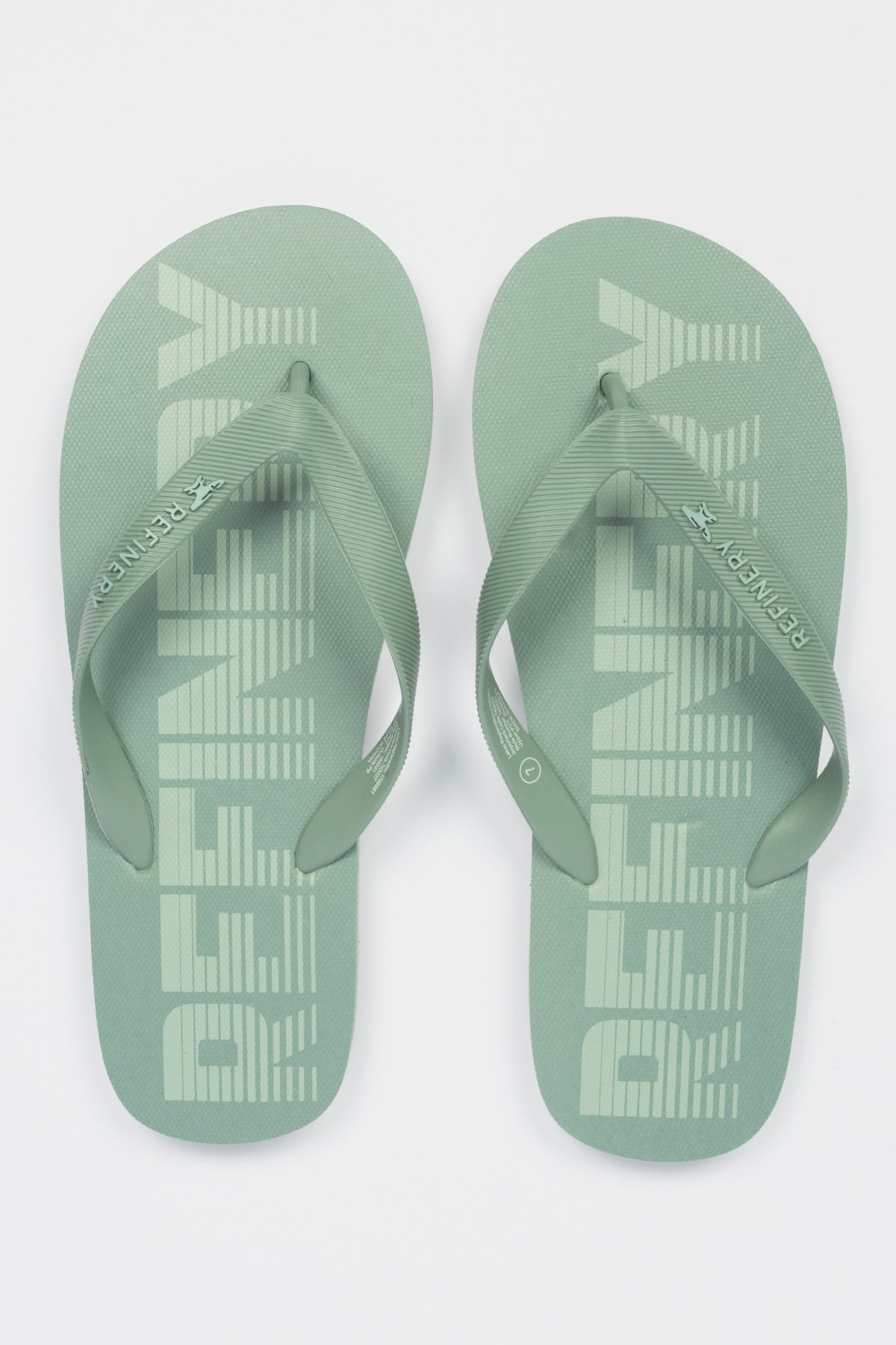 Stripe Print Flip Flop _ 165531 _ Green