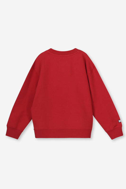 Boys Branded Sweat Top