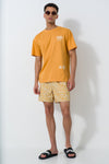 Pool Shorts