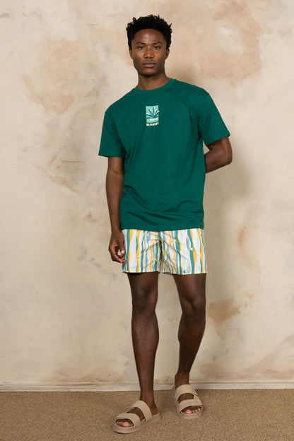 Pool Shorts